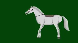 Cartoon horse   green screen video