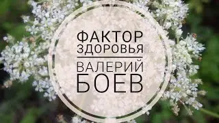 Фактор здоровья. Подкаст с Валерием Боевым