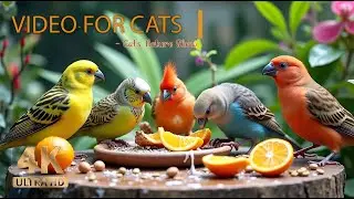 Birds & Squirrels Among the Spring Flowers 🐿️ Bird Videos for Cats