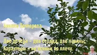Всем дочкам посвящается....