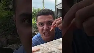 When Feeding Godzilla Goes Wrong