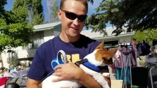США/ПОЧЕМУ АМЕРИКАНЦЫ ЛЮБЯТ СТАРЫЕ ВЕЩИ/GARAGE SALE/РАСПРОДАЖА В ГАРАЖЕ/