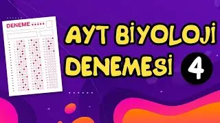 AYT Biyoloji Denemesi 4