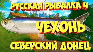 русская рыбалка 4 - Чехонь река Северский Донец - рр4 фарм Алексей Майоров