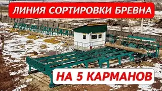 Линия сортировки бревна на 5 карманов