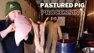 Amateur Hog Butcher How-to