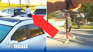 Shocking moment Florida man hits police officers with car and then gets tasered