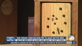 San Diegan creates shelter to save native bees