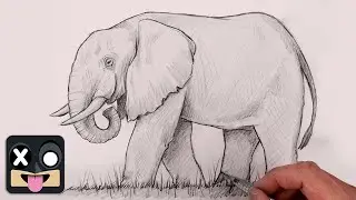 How To Draw an African Elephant | Beginner's Sketch Tutorial