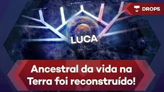 Estudo reconstrói ancestral comum de toda a vida na Terra – TecMundo DROPS