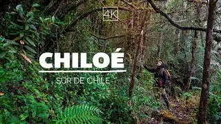 el lado más salvaje de CHILOÉ - Sur de Chile 4K - GoCarlos