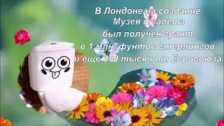Самый нелепый день? ДЕНЬ ТУАЛЕТА. С ПРАЗДНИКОМ!