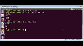 How To add multi line text to a file using cat command on Linux