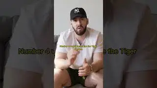 My Top 5 Favorite Rolex Daytonas || VALID or TRASH IT???
