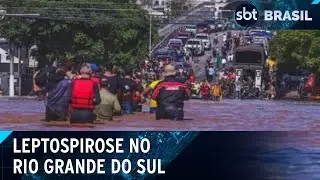 13 pessoas morreram de leptospirose nas chuvas do Rio Grande do Sul | SBT Brasil (04/06/24)