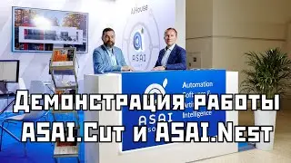 ASAI.Cut и ASAI.Nest: демонстрация работы