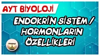 AYT Biyoloji | Endokrin Sistem / Hormonların Özellikleri #sayfa28