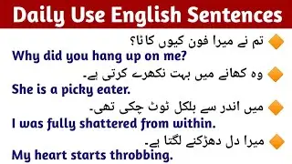 50 Daily Use English Sentences with Urdu Translation | English Speaking Practice |English with Milli