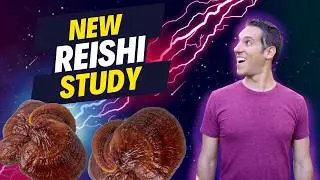 2024 Reishi Immune Benefits Study