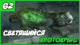 Fallout 4 ➨ Светящийся КРОТОКРЫС!【#62】【1080p】【60FPS】