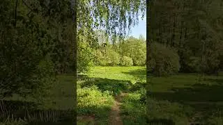 ВСЕМ ЛЕСНОЙ ПРИВЕТ!)) 