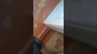 редкий экземпляр 