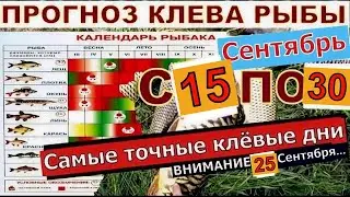 Прогноз клева рыбы на неделю с 15 по 30 Сентября 2024  Календарь клева рыбы Лунный календарь рыбака