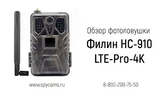 Обзор уличной охранной 4К фотоловушки Suntek Филин HC-910 LTE-Pro-4K