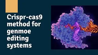 Crispr-cas9 method for genmoe editing systems