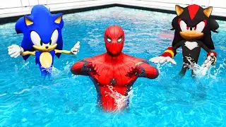 GTA 5 Water Ragdolls Spiderman vs Sonic vs Evil Sonic Jumps/Fails (Euphoria Phyics Funny Moments)