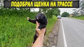 Подобрал щенка на трассе.... Не смог проехать мимо малютки....