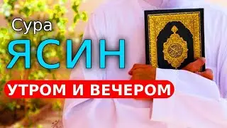 🔊 Красивый Коран, Сура 