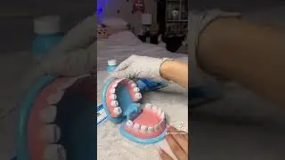 Dentist Roleplay 🦷🪥 