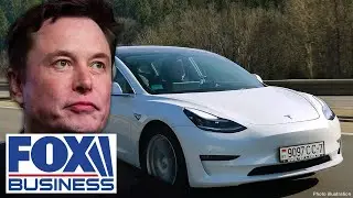 Expert issues fresh warning to investors on Tesla: ‘Steer clear’