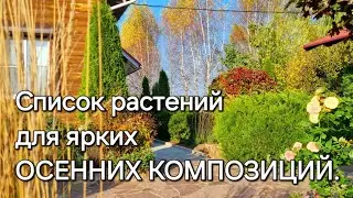 Список растений для ярких ОСЕННИХ КОМПОЗИЦИЙ. Эффектные сочетания.