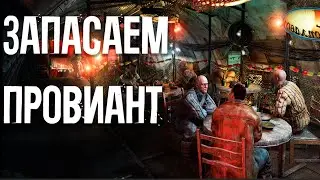 METRO 2033 RP l NOVOSIBIRSK l ЗАПАСАЕМ ПРОВИАНТ🍔 l DAYZ RP #dayz