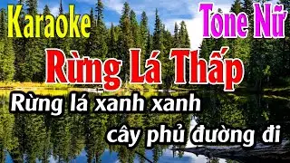 Rừng Lá Thấp Karaoke Tone Nữ Karaoke Lâm Organ - Beat Mới