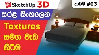 SketchUp Sinhala Lessons 3 - Work with Paint Bucket Tool understand Material and Texture