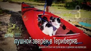 В раскрученную Териберку с самодельным домом на колесах 22.3