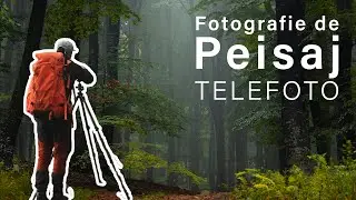 Fotografii in Padure cu un Obiectiv Telefoto - Setari si Sfaturi