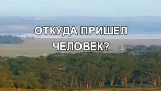 Откуда пришел человек? По следам тайны 