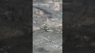 Russian BMP-2 tank is blown up by a Ukrainian land mine in the Luhansk region