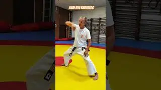 Объяснение техники перемещения в Киба дачи с ёко Гери кекоми. #asairyu #каратэ #karate