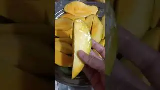 Cutting Mango Slices 🥭 #shorts #yt #youtubeshorts #food #fruit #mango #shortsfeed