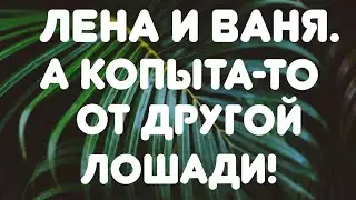 Лена и Ваня// А копыта-то от другой лошади! // Обзор видео//