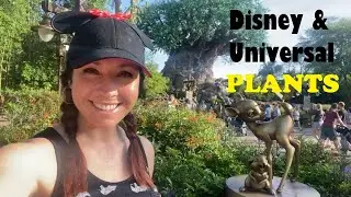 Plants at Disney World and Universal Studios | Zone 9 is so LUCKY!