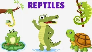 Reptiles Names | Reptile Name For Kids | Reptiles Vedio For kids | Learn Reptiles English To Hindi