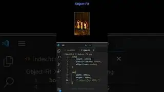 05/100 - Object-Fit CSS property. #css #html #tutorial #project #frontend #shorts