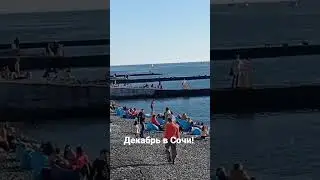 Обычный декабрьский день в Сочи. #shorts #недвижимость #риелторсочи #домвсочи