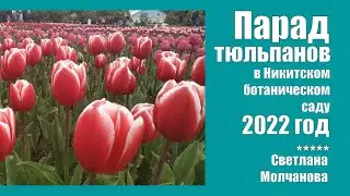 Парад тюльпанов-2022 в Никитском ботаническом саду | Интересные места